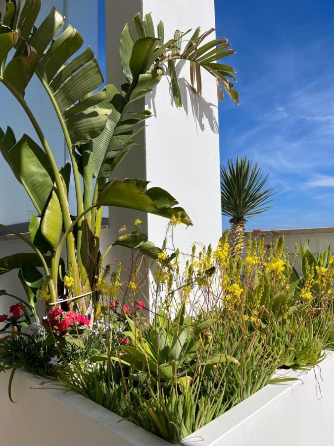 Apartament Sky Garden Locazione Turistica Polignano a Mare Zewnętrze zdjęcie